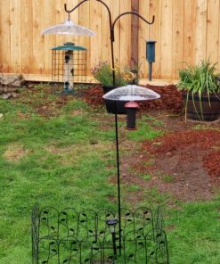 Perky-Pet 340 Transparent 16-Inch Squirrel Baffler 31 81fM2HS9ZIL