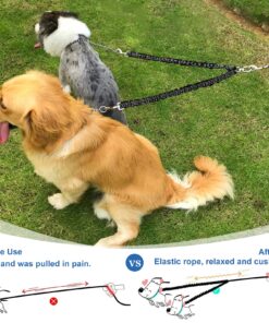 Pet Dog Double Leashes - No Tangle Dog Leash Coupler, Comfortable Shock Absorbing Reflective Bungee Lead for Nighttime Safety, Dual Dog Training Leash for Small, Medium & Large Dogs (Black) 20 81fM2snwiqL