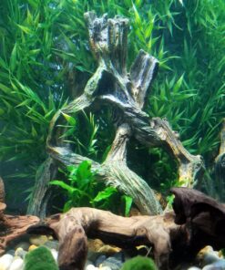 Marina Decor Mangrove Root, Large 40 81fMNHicoML