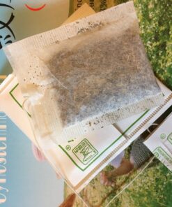 Gynostemma Tea (Jiaogulan Tea) 100 2g Green Tea Bags 100 Count (Pack of 1) 26 81fMPjjiJPL