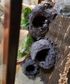 Great Stuff 283064 12OZ GS Pond&Stone Foam Sealant, Each, Black Pond & Stone 41 81fNB4R8jUL