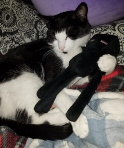 Minecraft Enderman 7" Plush 36 81fNRJLSuBL