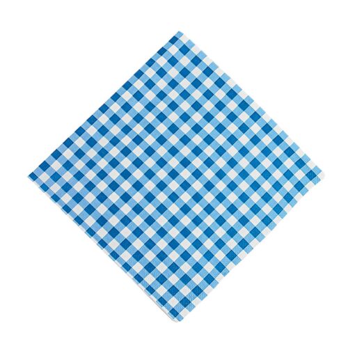 Blue Gingham Luncheon Napkins (bulk set 48) Event and Party Tableware Supplies