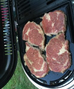 Coleman Swaptop Cast Iron Griddle & Grill Grate for RoadTrip Grills, 142 Sq. In. Cooking Area with Easy-to-Clean Cast Iron Construction, Great for Camping, Tailgating, Home, & More 14 81fNvZlNPzL