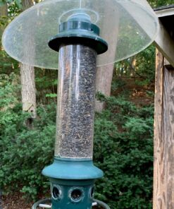 Squirrel Buster Plus Squirrel-proof Bird Feeder w/Cardinal Ring and 6 Feeding Ports, 5.1-pound Seed Capacity, Adjustable, Pole-mountable (POLE ADAPTOR SOLD SEPARATELY), Green 54 81fSNmene2L