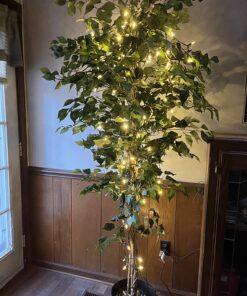 Nearly Natural 7ft. Ficus Artificial Tree, Green 84 in Trees 42 81fWpATC8OL