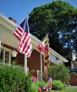 Grace Alley Flag Pole: 6 Foot Tangle Free Spinning Flag Pole. Residential or Commercial Flag Pole. Wind Resistant/Rust Free. (Silver) Silver 33 81fZjbV4VFL