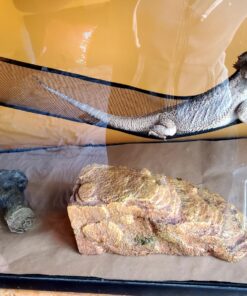 Eco Kraft Wrapping Paper Roll (Jumbo) | Biodegradable Recycled Material | Made in the USA | Multi-use: Natural Wrapping Paper, Table Runner, Moving, Packing & Shipping | 30” x 1200” (100ft) 26 81fZs9H oKL 2