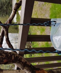 Platypus Platy 2-Liter Flexible Water Bottle 29 81faWhFEubL