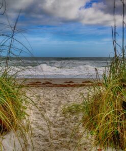 Nikon Z7 Full-Frame Mirrorless Interchangeable Lens Camera with 45.7MP Resolution, Body, Black, 1591 Body Only Base 42 81fbGrwmjjL