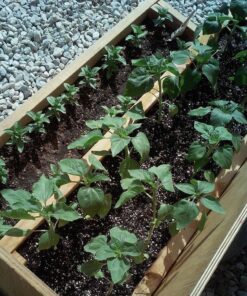 SUNGRO Horticulture SUGRBG16QT 1402040.Q16U Qt U 16 Quart All Organic Potting Soil 16 81fc5 lt49L