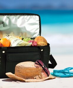 Picnic at Ascot 42 Can Capacity Semi Rigid Collapsible Leakproof Cooler- Designed & Quality Approved in the USA Pack of 1 Black 9 81feVTK5FuL