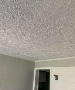 Wooster Brush R234-9 Popcorn Acoustical Roller Cover, 9/16-Inch Nap, 9-Inch foam 12 81fhtJcBkL