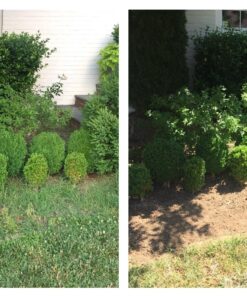 CobraHead® Original Weeder & Cultivator Garden Hand Tool - Forged Steel Blade - Recycled Plastic Handle - Ergonomically Designed for Digging, Edging & Planting - Gardeners Love Our Most Versatile Tool 45 81flJRSfVOL