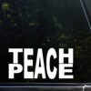 Diamond Graphics Teach Peace (8" x 4") Die Cut Decal Bumper Sticker for Windows, Cars, Trucks, Laptops, Etc 52 81fm0y8GjOL