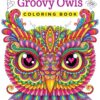 Groovy Owls Coloring Book (Coloring is Fun) (Design Originals) 32 Adorable Art Activities with Quiet, Stoic, Wise, and Happy Owls, plus Beginner-Friendly Advice, Techniques, Color Choices, & Examples Paperback, Coloring Book