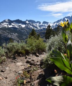 Nikon AF-S FX NIKKOR 20mm f/1.8G ED Fixed Lens with Auto Focus for Nikon DSLR Cameras Lens Only 82 81fnm2Z4GNL