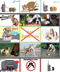 Alternative view of Rechargeable Small Dog (3 ~ 12 lbs) Remote Training 10 Level Shock Vibrate Collar (AT-211D-350W)