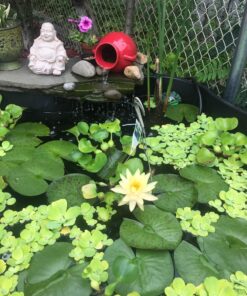 KEDSUM 550GPH Submersible Pump(2500L/H, 40W), Ultra Quiet Water Pump with 5ft High Lift, Fountain Pump with 6.5ft Power Cord, 3 Nozzles for Fish Tank, Pond, Aquarium, Statuary, Hydroponics Blue 41 81fqmfqerBL