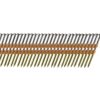 B&C Eagle A312X131/22 Round Head 3-1/2-Inch x .131 x 22 Degree Bright Smooth Shank Plastic Collated Framing Nails (500 per box) 15 81frIG8xa5L
