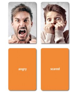 Picture My Picture Feelings and Emotions Flash Cards | 40 Emotion Development Language Photo Cards | Speech Therapy Materials and ESL Materials 15 81fuzo oGAL