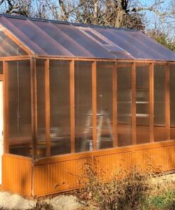 Trappify Sticky Gnat Traps for House Indoor - Yellow Fruit Fly Traps for Indoors/Outdoor Plant - Insect Catcher White Flies, Mosquitos, Fungus Gnat Trap, Flying Insects - Disposable Glue Trapper (12) 12 54 81fzo8aJpGL