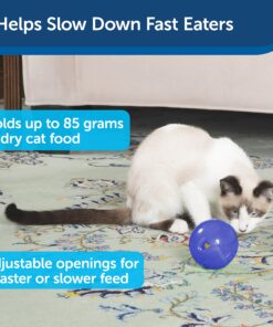 PetSafe SlimCat Meal-Dispensing Cat Toy, Great for Food or Treats, Blue, for All Breed Sizes 16 81fzuiNUX2L