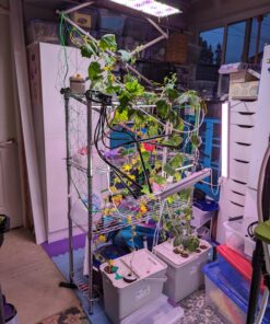 BN-LINK 8 Outlet Surge Protector with Mechanical Timer (4 Outlets Timed, 4 Outlets Always On) - White 34 81g nE9gq0L