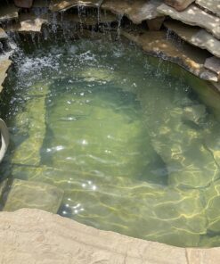 Clorox Spa Water Clarifier, 16-Ounce 59016CSP 6 81g8nDOSTRL