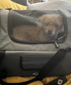 Pettom Dog Car Seat Pet Car Booster Seat Carrier Airline Approved for Dog Cat Puppy Small Animal Travel Cage (Gray-1, Small-Hold Pet up to 13lb) Gray-1 27 81g92gzB L