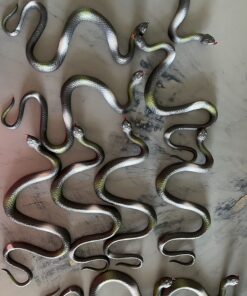 Fun Central 12 Pack - Realistic Rubber Snakes Toys for Garden in Bulk - 22 inches 33 81gAiKjNNL