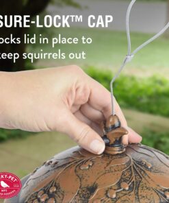 Perky-Pet 305 Holly Berry Gilded Chalet Wild Bird Feeder Gold 28 81gAmZsgB0L