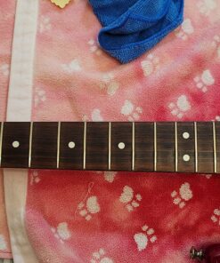 Jim Dunlop System 65 Guitar Maintenance Kit 21 81gBtsEhYPL