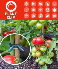 Sago Brothers 40 PCS Plant Clips Garden Clips for Tomato Cage, Tomatoes Clips Plant Support Clips for Bamboo Stakes, Climbing Plants, Vines, Gentle Plant & Flower Trellis Clips for Plant Stalks, Stems SL-40p-(20S+20L) 31 81gCRg6eg8S