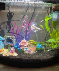 Seachem Prime Fresh and Saltwater Conditioner - Chemical Remover and Detoxifier 500 ml 30 81gCX2P6eL