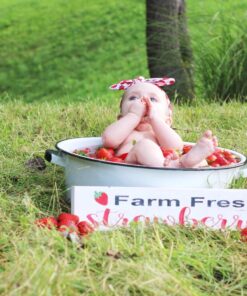Granite Ware Enamel on Steel Dish Pan with handles, 15-Quart capacity, Speckled White 15 Quart 33 81gCZGhAYjL