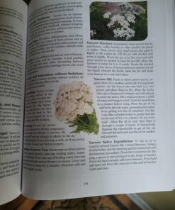 The Lost Book of Herbal Remedies 34 81gDYf5dTsL