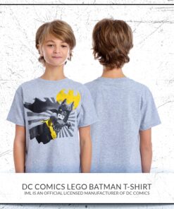 DC Comics Boys' Lego Batman Characters Graphic Designs Round Neck Short Sleeve T-Shirt 14-16 Gray 10 81gLVREiGaL