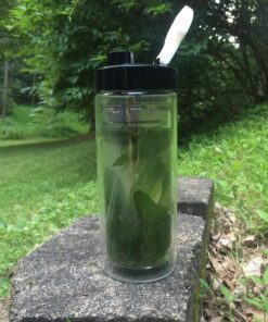 Sun's Tea 18oz Wide Mouth Ultra Clear Spill-proof Strong Double-wall 3-Piece Borrosilicate Glass Tumbler with Strainer and Lid (flat top lid) 29 81gMk7omy4L