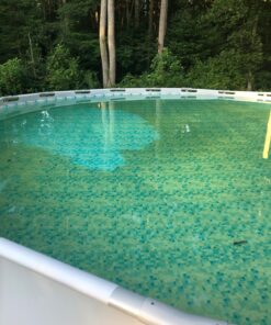 Intex Handheld Rechargeable Vacuum with Telescoping Aluminum Shaft and Two Interchangeable Brush Heads , Gray/Black 36 81gND9pAYoL