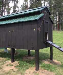 Ware Manufacturing Chicken Egg Basket 1 A 22 81gNes3PbbL