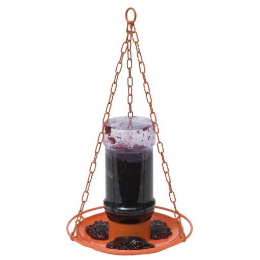 Perky-Pet 253 Wild Oriole Jelly Bird Feeder - 32 Ounce Feeder Capacity Red Versatile