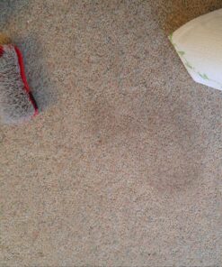 Blue Magic 900 Carpet Stain & Spot Lifter - 22 oz. Aerosol Can 32 81gP8onygGL