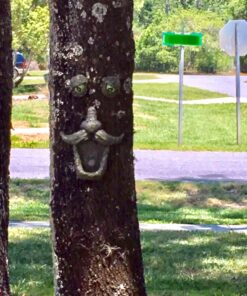 Tree Face Bird Feeder (Hand Painted) Fun Outdoor Decor Includes Glow in The Dark Eyes 33 81gQqJmKhSL