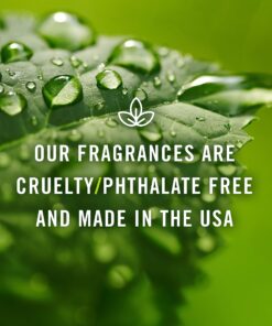 P&J Fragrance Oil | Sandalwood Oil 10ml - Candle Scents for Candle Making, Freshie Scents, Soap Making Supplies, Diffuser Oil Scents 1 11 81gRDUDLgNL 2