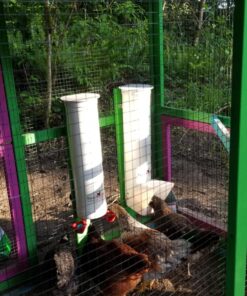 Royal Rooster Chicken Feeder and Waterer Set - Includes 1 Gallon Waterer with 2 Cups and 7lb Feeder for Chickens - Chicken Coop Accessories with Hanging Chicken Poultry Feeder and Chicken Waterer Kit 2-Cup Waterer 41 81gTYklNE9L