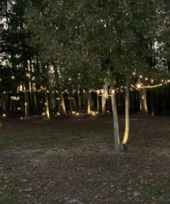 InnoGear Solar Lights for Outside, Solar Lights Outdoor Waterproof Solar Garden Yard Spot Lights Spotlight Pathway Landscape Lighting Wall Light Auto On/Off, Pack of 4 (Warm White) Warm White 40 81gU5RpIgJL