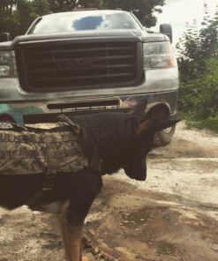 FRONTLINE Plus Flea and Tick Treatment for X-Large Dogs Up to 89 to 132 lbs., 3 Treatments 3 Count 39 81gXFxNn3L