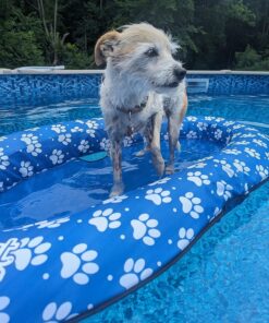 SwimWays Paddle Paws Spring Float Dog Raft, Small (0-65 lbs.) 28 81gXT66Xd7L