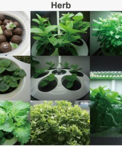 Smarson Indoor LED Light Hydroponic Garden, Grow Herbs, Vegetables and Flowers, Large, White 17 81gXtAV0eML